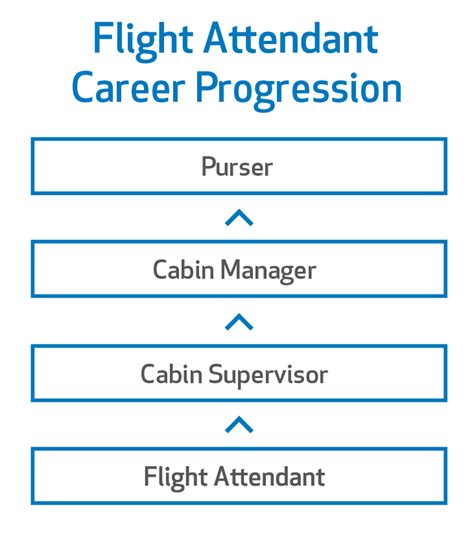 Flight Attendant Qtic Careers Guide