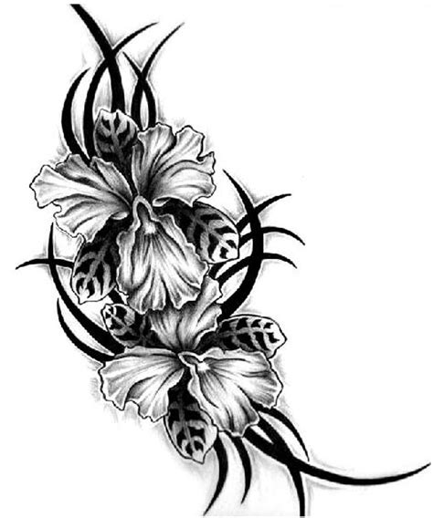 Flower Wallpapers Flower Pictures Red Rose Flowers Gifts Black Flower Tattoo For Girls