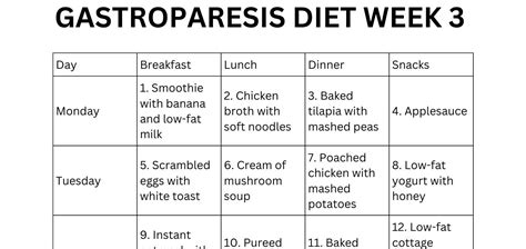 Gastroparesis Meal Plan Pdf