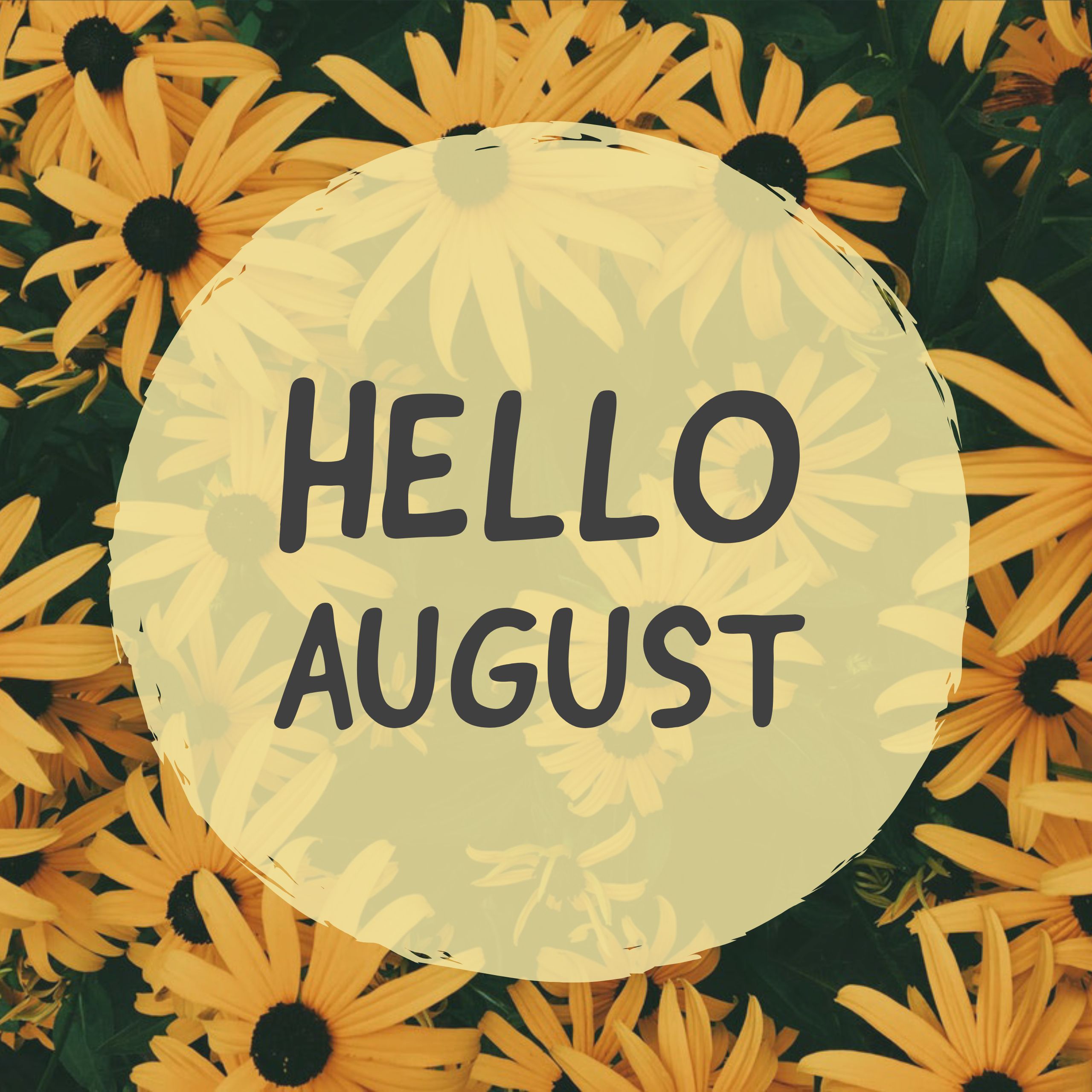 Hello August Surprise Me Meme August Flowers Photo Trendy