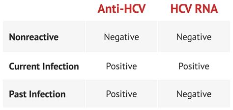 Hepatitis C Serology Liver Function Tests Medschool