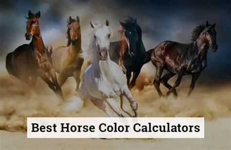 Horse Color Calculator Tips