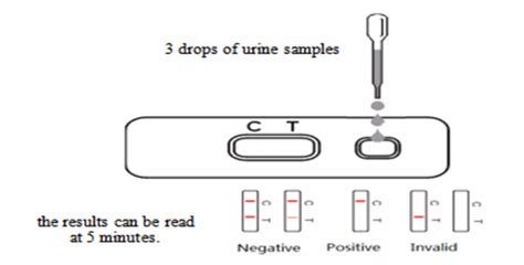 How To Do A Buprenorphine Bup Drug Test Public Health