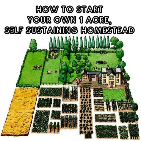 How To Establish A Farm