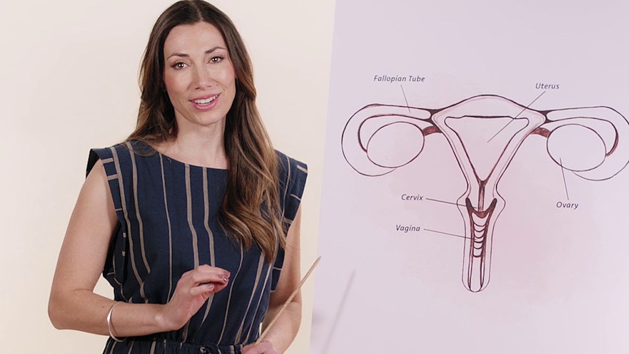 How To Find And Measure Your Cervix Youtube