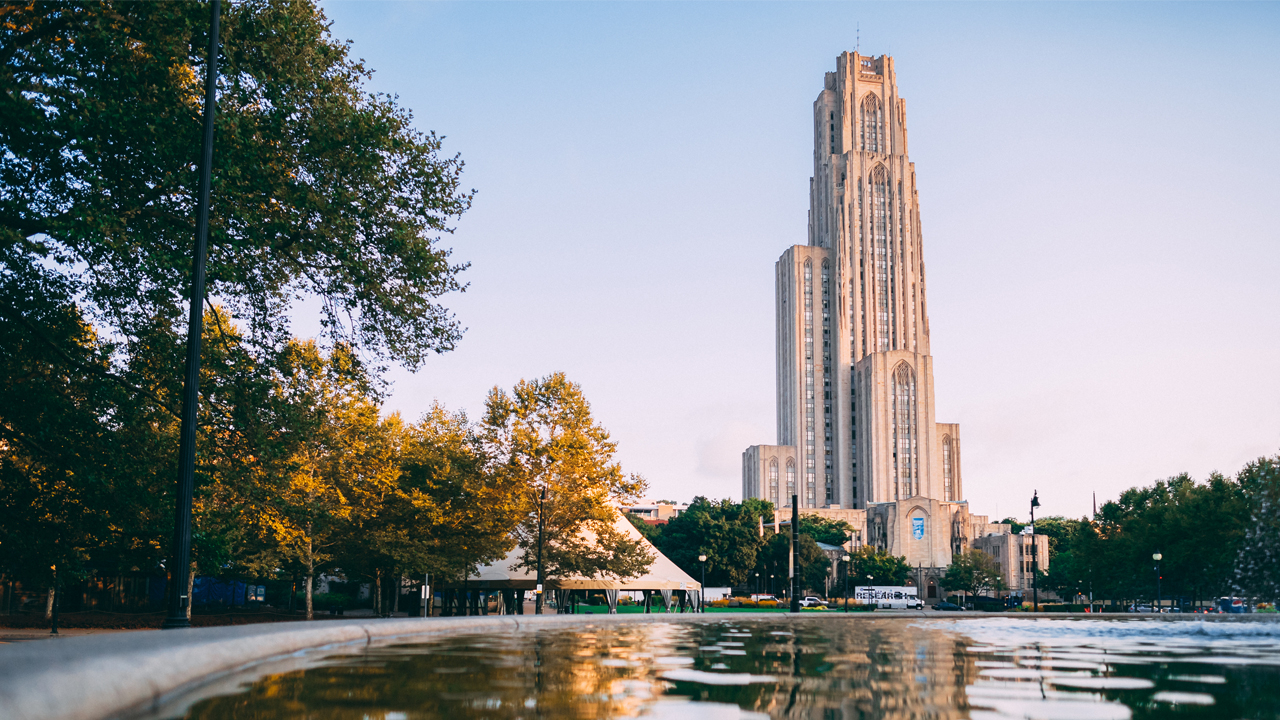 How To Get Into Pitt Acceptance Rate Admissions Strategies