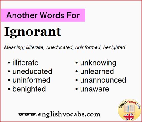 Ignorant Is Another Word