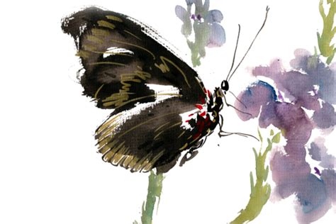 Ink Flowers Butterfly Png Vector Psd And Clipart With Transparent