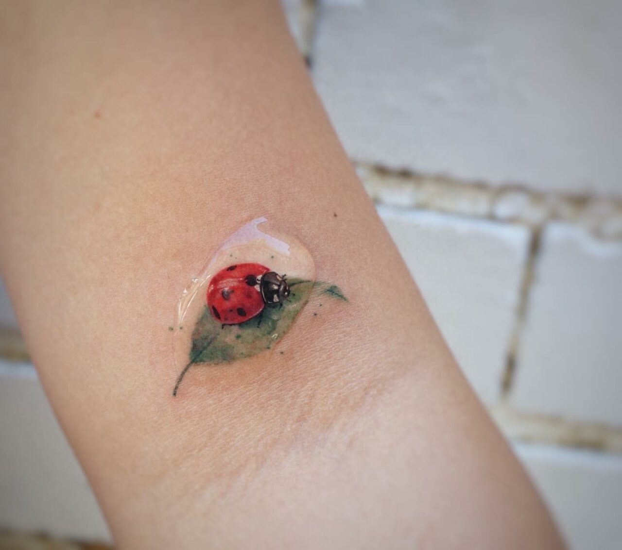 Ladybug Tattoo Realistic