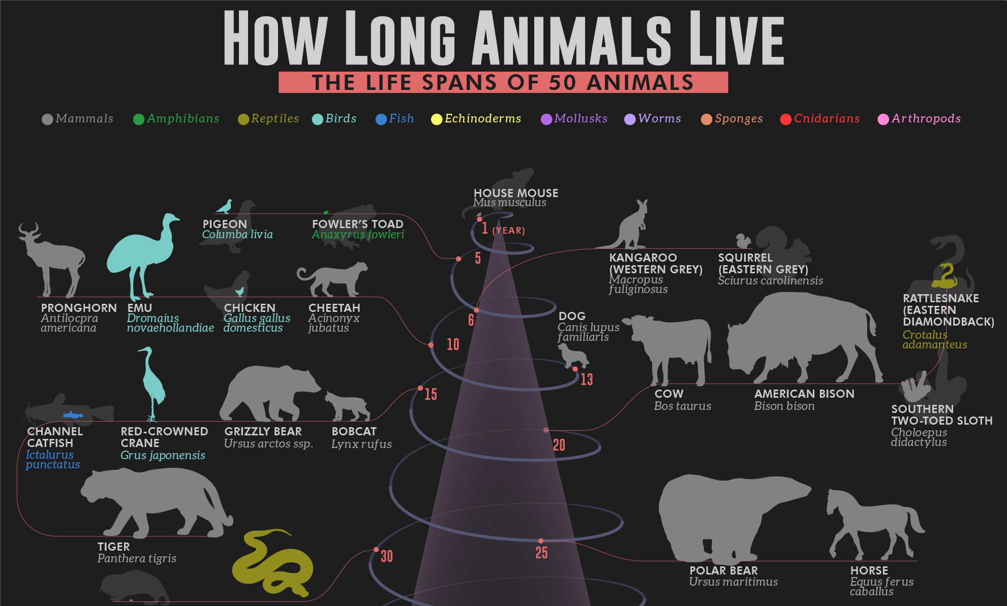 Life Spans Of Reef Animals Marine Biology Marine Animals Marine Life