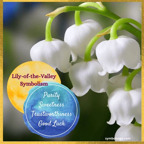 Lily Valley Symbolism