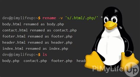 Linux Change File Name