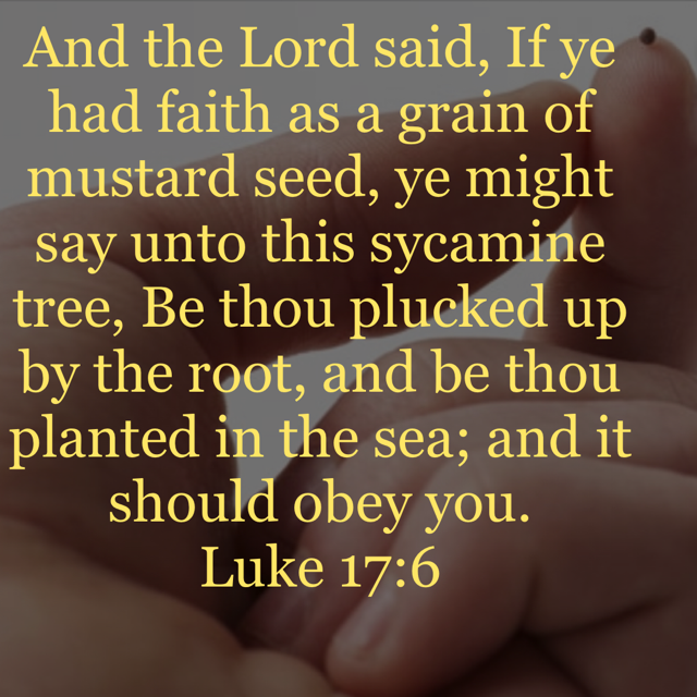 Luke 17 6 And The Lord Said If Ye Had Faith As A Grain Of Mustard Seed