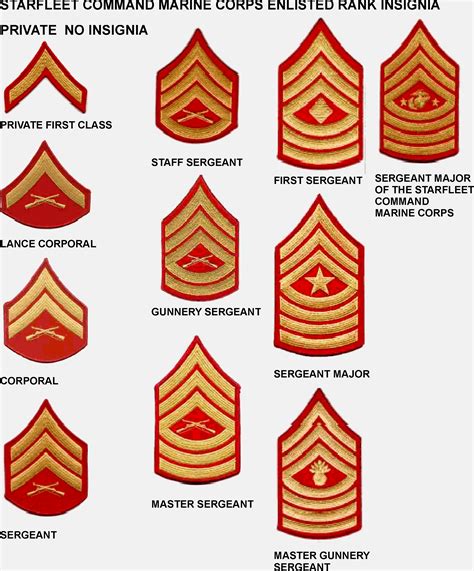 Marine Corps Rank Insignia