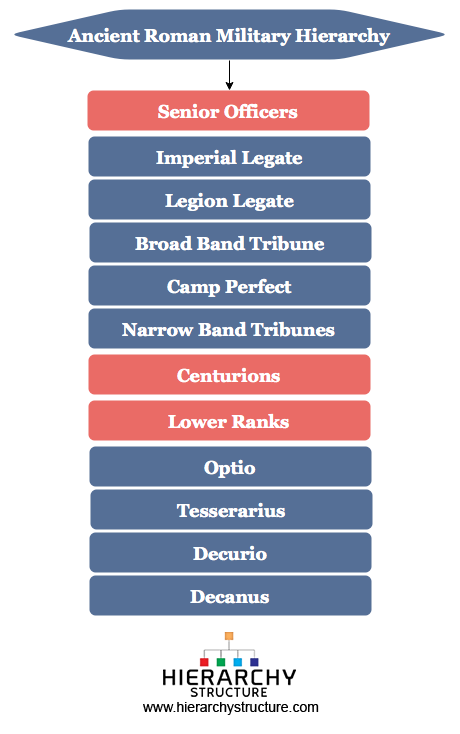 Marine Military Ranks A Journey Through Hierarchy And Tradition Top