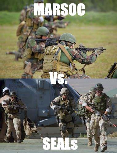 Marine Raiders Marsoc Vs Navy Seals A Detailed Look At Two Elite Forces