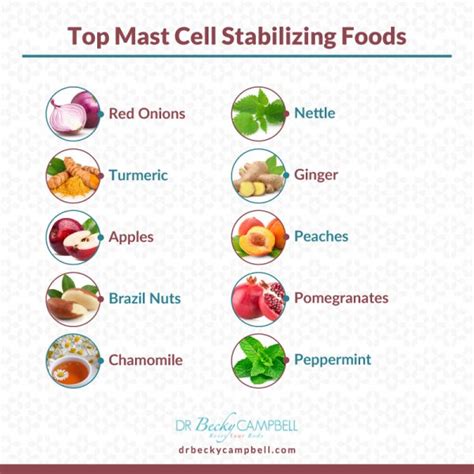 Mast Cell Stabilizing Foods Dr Becky Campbell