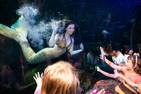 Mermaid Coming To Virginia Aquarium Wavy Com