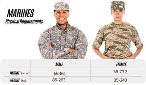 Military Height Weight Requirements A Comprehensive Guide