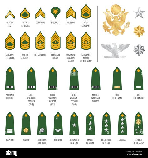 Military Insignia Google Search Military Insignia Military Ranks