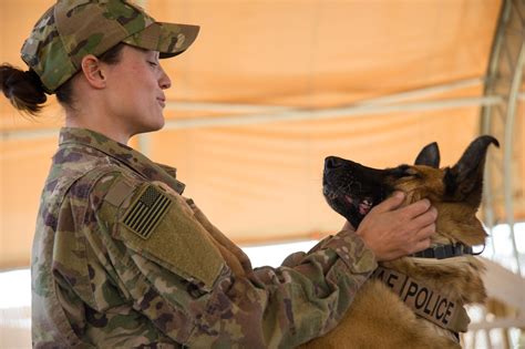 Military K9 Handler Duties