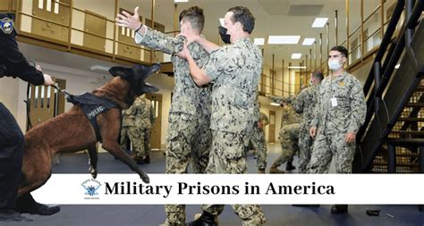 Military Prisons In America Empire Resume