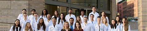 Mshs Dermatology Residency Icahn School Of Medicine