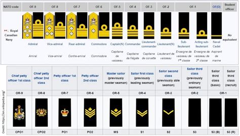 Naval Ranks Rcn Nato And Allied Partners Canadian Naval Review