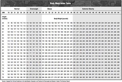 Navy Bmi Calculator Lopiconsult