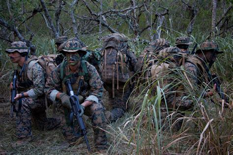 Navy Special Infantry Teams