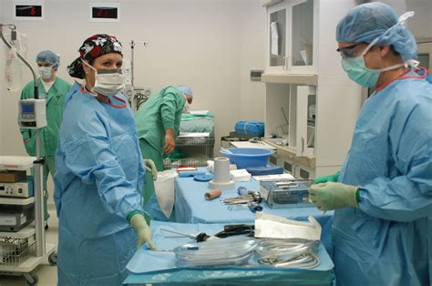 Operating Room Renovated Top Notch Service Continues Article The