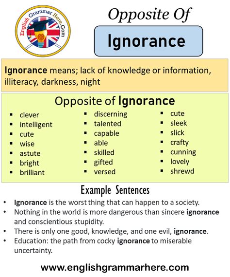 Opposite Of Ignorance Antonyms Of Ignorance Meaning And Example