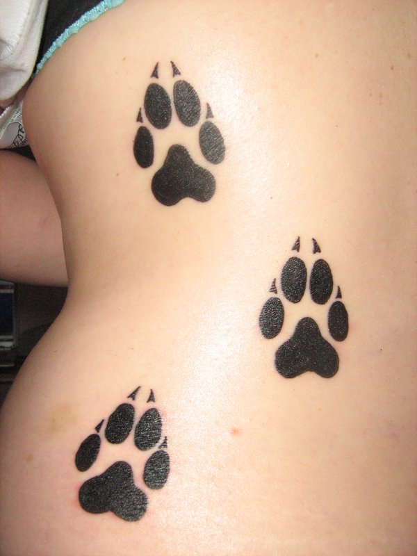 Paw Print Tattoos Designs Ideas And Meaning Tattoos For You