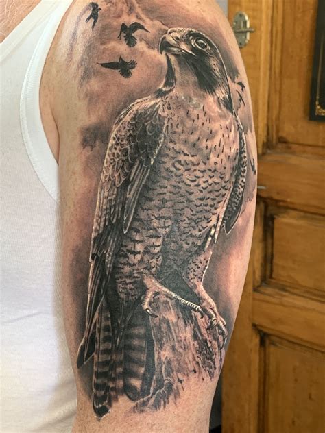 Peregrine Falcon Watching Over His Family 1 Day After My Tattoo Was