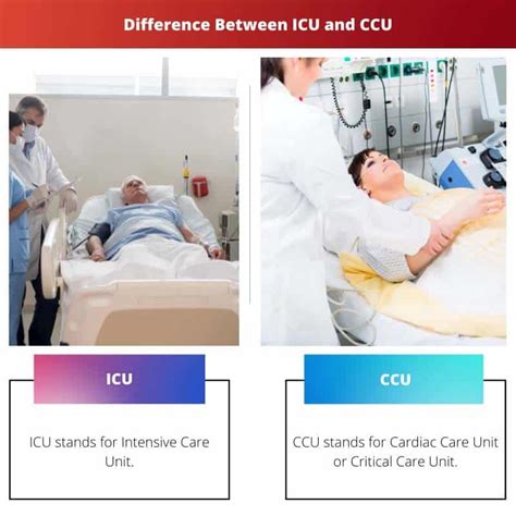 Pro Guide: Icu Vs Ccu  Choose The Perfect Care Today