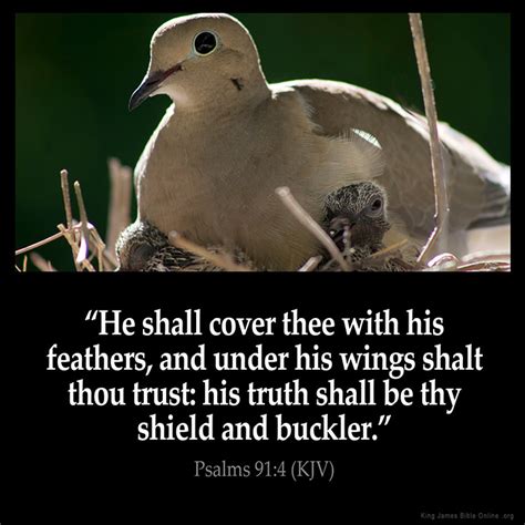 Psalms 91 4 Inspirational Image