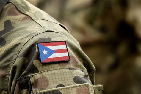 Puerto Rico Defense Forces