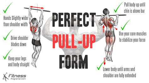 Pull Ups For Everyone A Beginner S Guide To Mastering