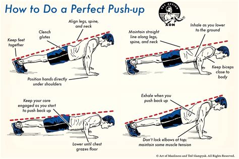 Push Ups Guide