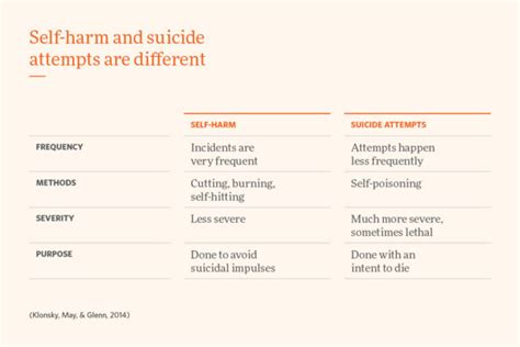 Report On The Inquiry Into The Prevention Of Suicide And Self Harm