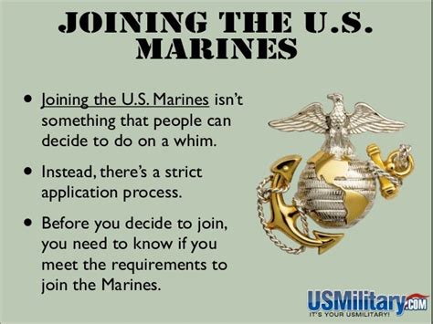 Requirements To Join The Marines Do You Have What It Takes To Be A M