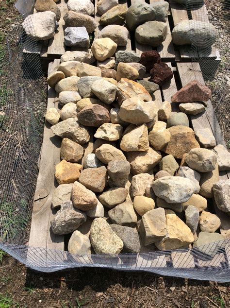 Rocks For Sale 1 50 Each 12 Inch 937 278 3405 Rocks For Sale Tree