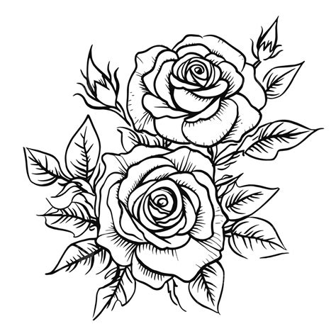 Rose Drawing Outline Google Search Flowers Pinterest Rose The Best Porn Website