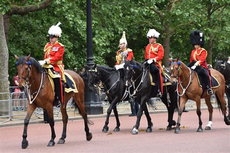 Royal Household Division