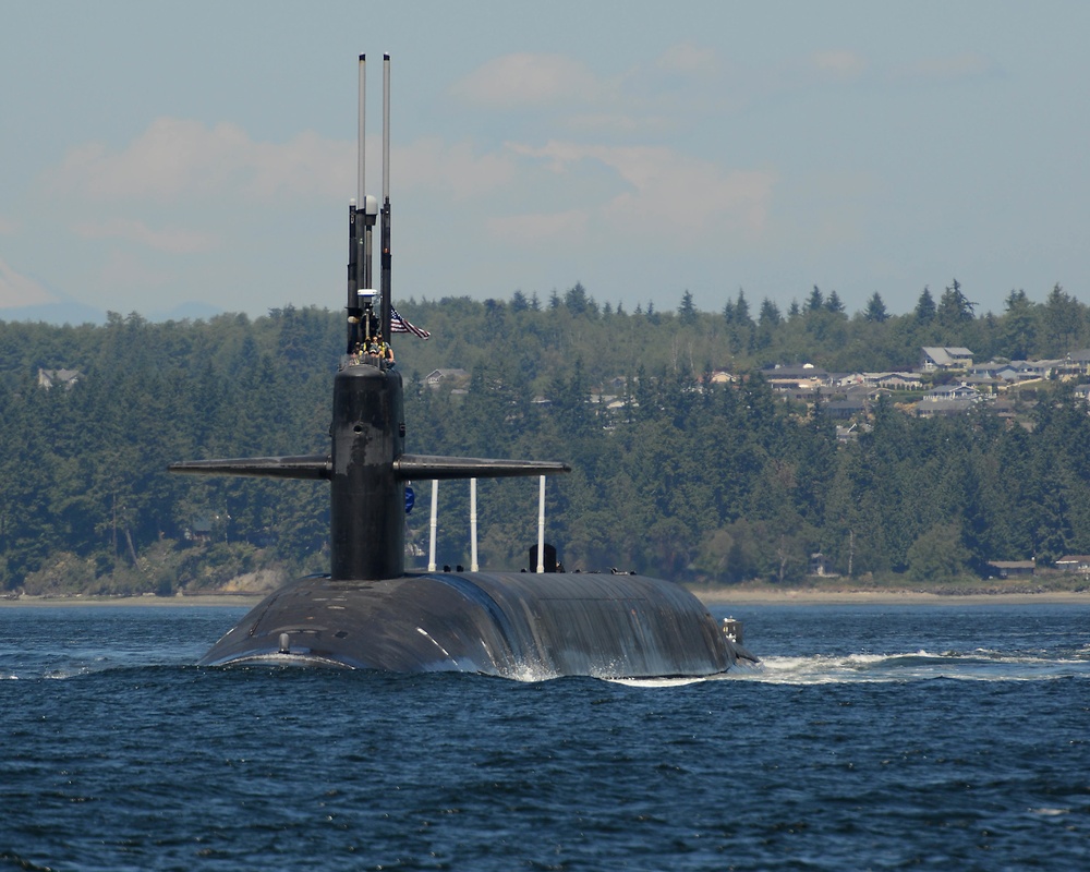 Seals Sunbathe Aboard The Uss Maine At Naval Base Kitsap Bangor In