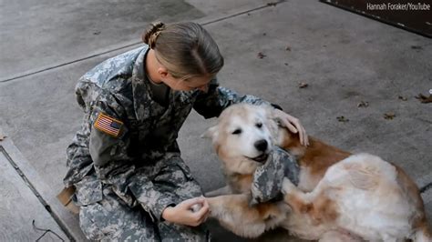 Soldier Reunites With Elderly Dog After Basic Training Abc13 Houston