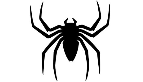 Spider Tattoo Meaning Symbolism Designs And Ideas