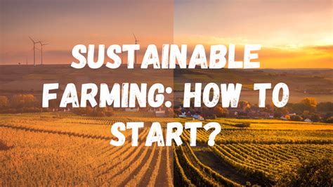 Sustainability Farming How To Start Sigma Earth