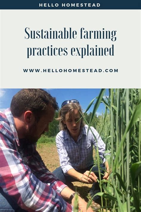 Sustainable Farming Practices Explained Hello Homestead