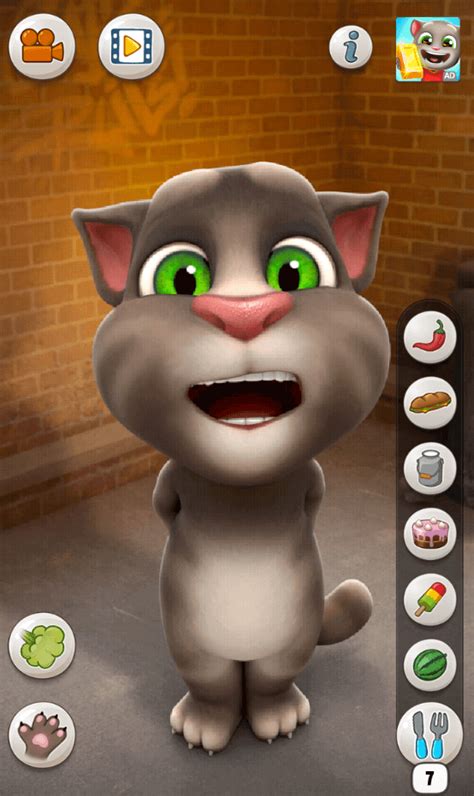 Talking Tom Cat Tips